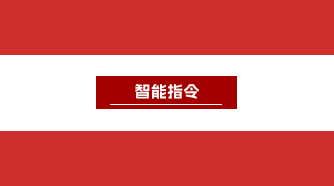 智能指令